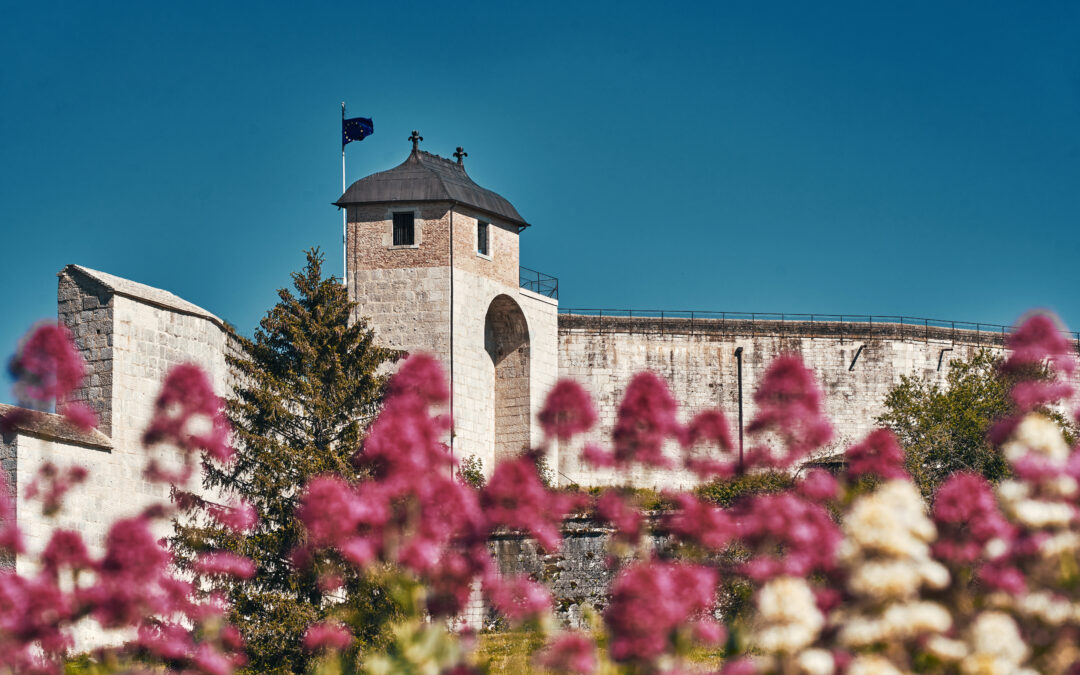 Un voyage inspirant à la Citadelle