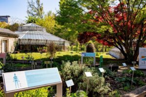 Jardin botanique Strasbourg©Catherine Schröder- U