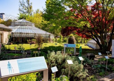 Jardin botanique Strasbourg©Catherine Schröder- U