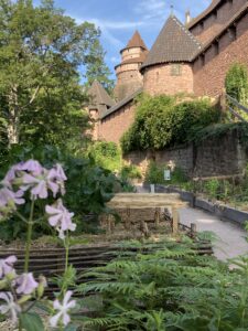 Jardin médiéval