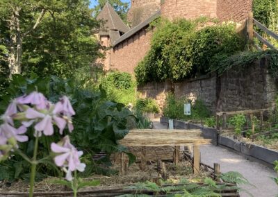 Jardin médiéval