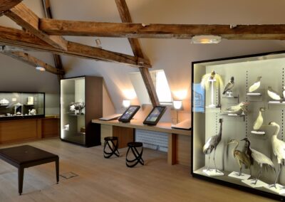 Maison des Lumières Denis Diderot, salle 9