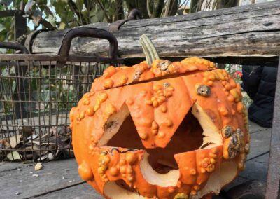 Contes et légendes d'automne