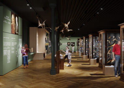 Parcours du musée rénové : la galerie des oiseaux