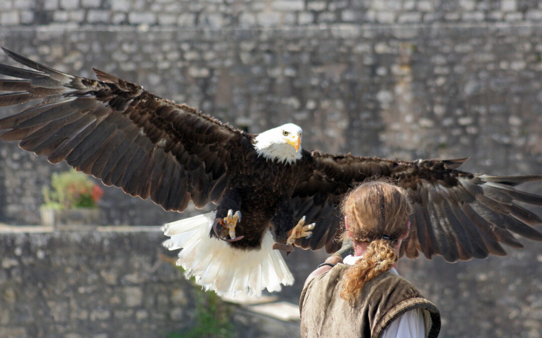 Au cœur du Moyen Âge