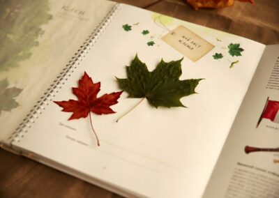 Herbier d'automne