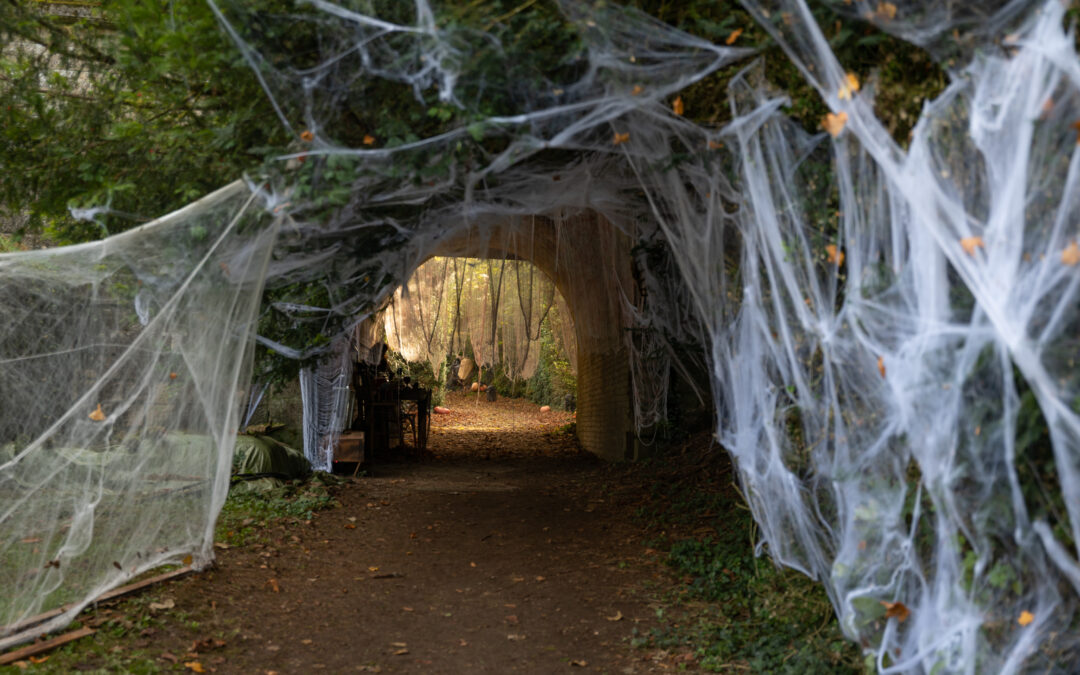 Fêtez Halloween dans l’Ouest Vosgien !