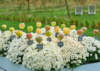 Fête des Jardins & des Saveurs