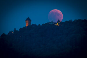 Haut-Koenigsbourg-selection-HD-Jean-PaulKrebs-l