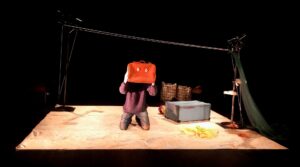 Les oiseaux migrateurs ne prennent pas le train