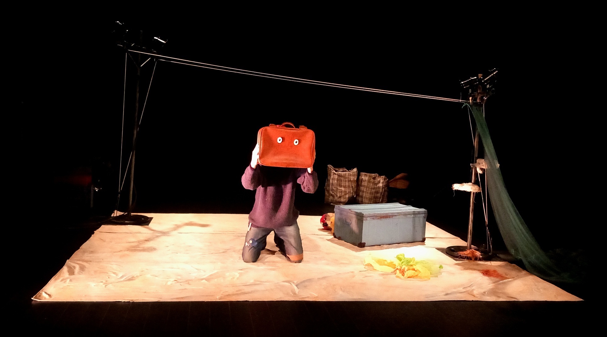 Les oiseaux migrateurs ne prennent pas le train Les oiseaux migrateurs ne prennent pas le train