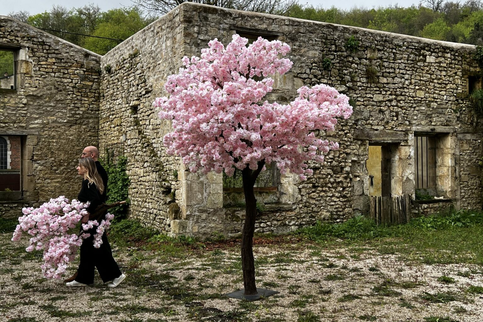 R.I.P. Cerisaie R.I.P. Cerisaie