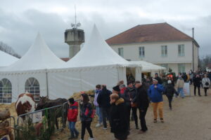 Noël sur la colline