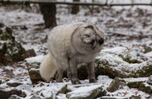 Parc de Sainte-Croix