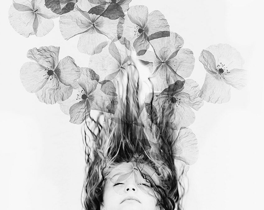 Festival Photo “D’une rive à l’autre”