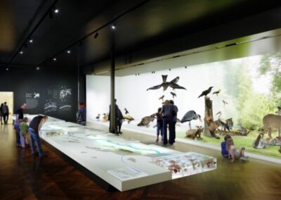 Musée Zoologique©Musée zoologique.jpg Musée Zoologique©Musée zoologique.jpg