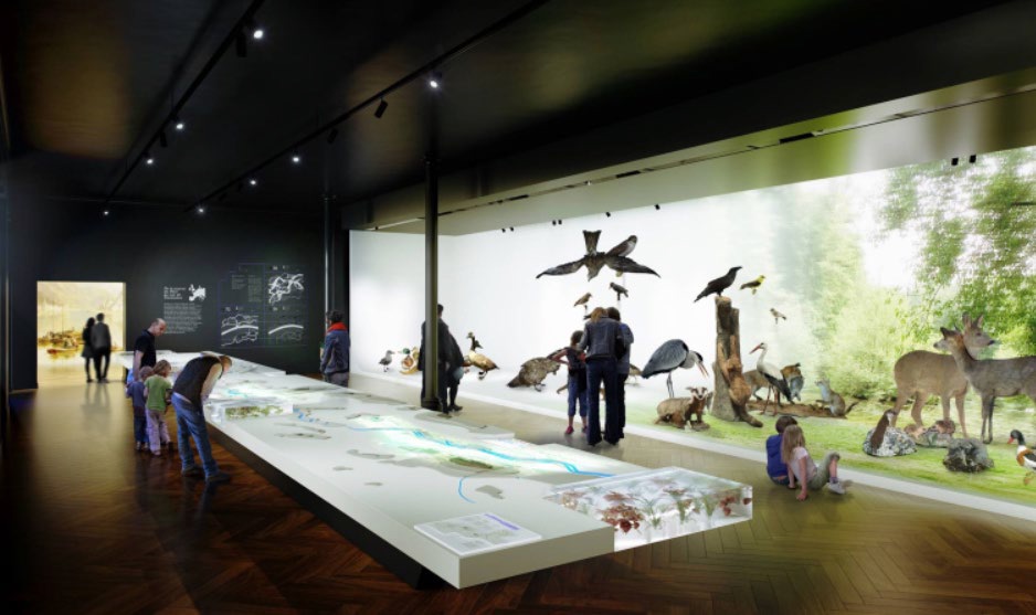 Musée Zoologique : le temps d’une rencontre 