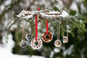 Friandises d'hiver pour les oiseaux