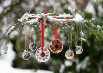 Friandises d’hiver pour les oiseaux Friandises d'hiver pour les oiseaux