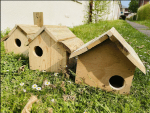 Atelier construction de nichoirs