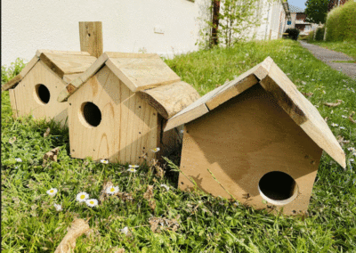 Atelier construction de nichoirs Atelier construction de nichoirs