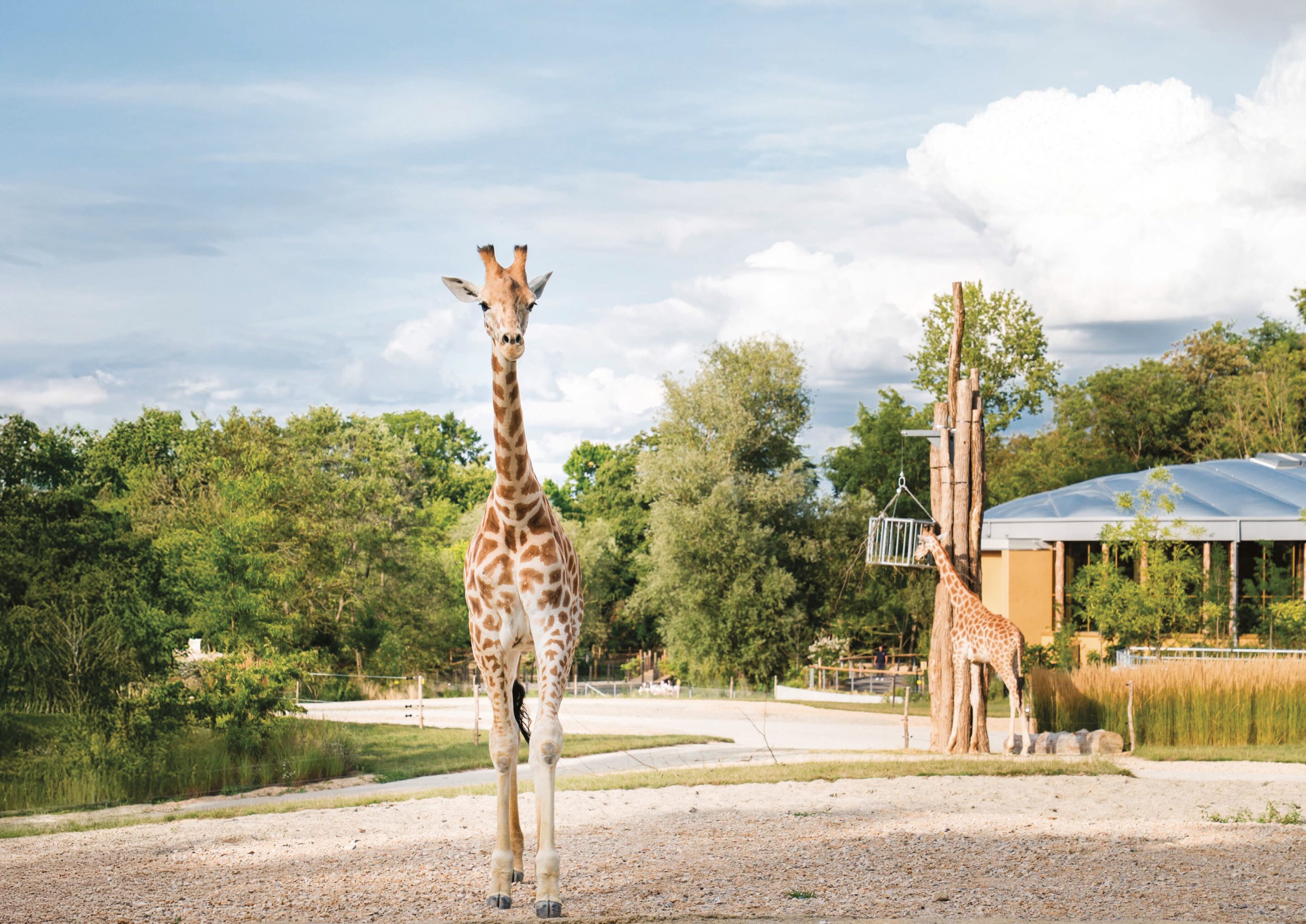 Horizon Afrique Horizon Afrique