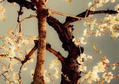 Le réel etcetera Le réel etcetera