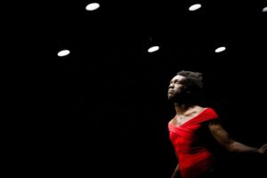 Salade, tomate, oignons