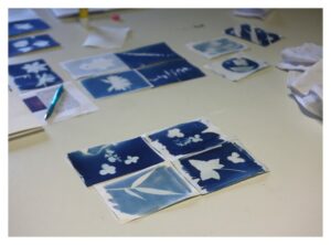 Atelier Cyanotypes