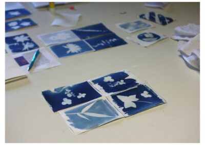 Atelier Cyanotypes Atelier Cyanotypes