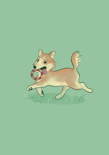 La faune des villes La faune des villes