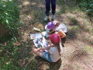 Une semaine sous les arbres