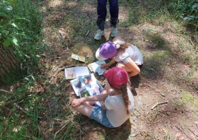 Une semaine sous les arbres