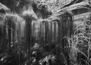 Nicolas Floc’h, Paysages productifs, Initium Maris