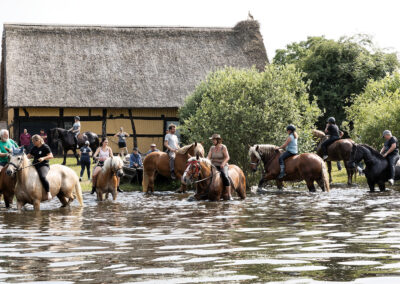 Feuillu 2025 Feuillu 2025