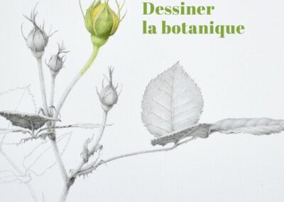 Aquarelle d’agrumes Aquarelle d'agrumes