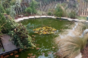 Jardin des découvertes Montigny-DR.png