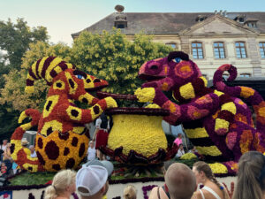 Corso Fleuri, Sélestat