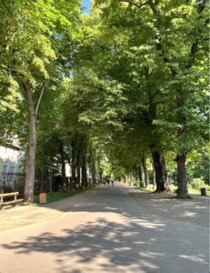 Parc de la Pépinière
