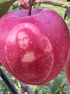 Pomme marquée