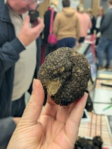 Truffe